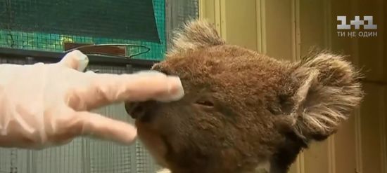  ��������� ����� �������� 