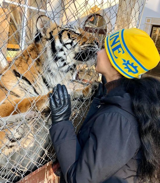  �������� ������ ������������� ����� ����� 