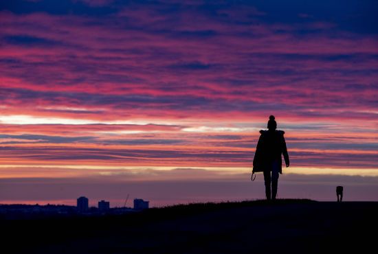  �������� ������� ������ ������� ������� ������ 