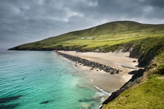  �������� ���������� �������� ������ ������� 