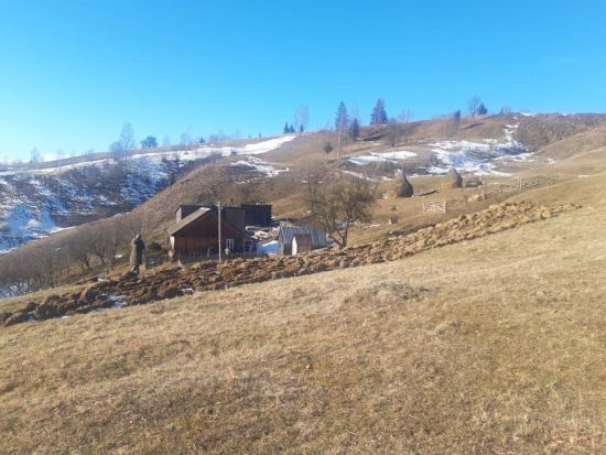  ���������� ���������� ������� ������� ������������� ����������� ���� 