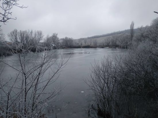  ��� ������ ������� ����������� 