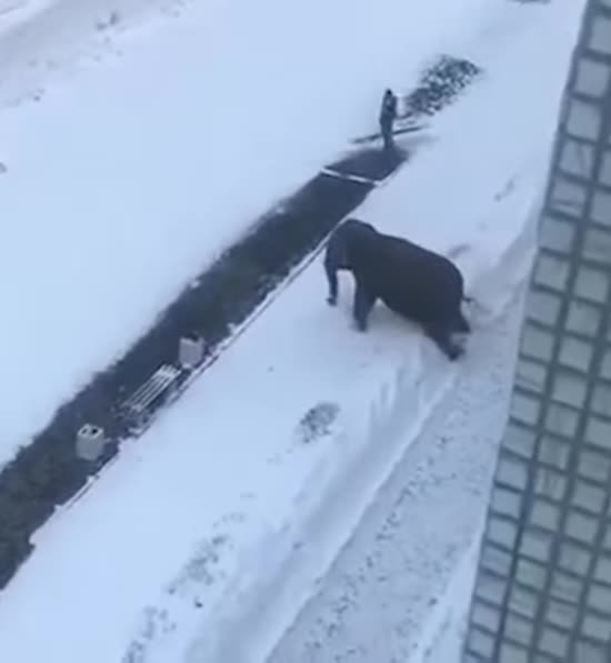 ����: ru.tsn.ua