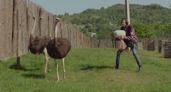 ����: ru.tsn.ua