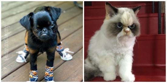 ����: ru.tsn.ua