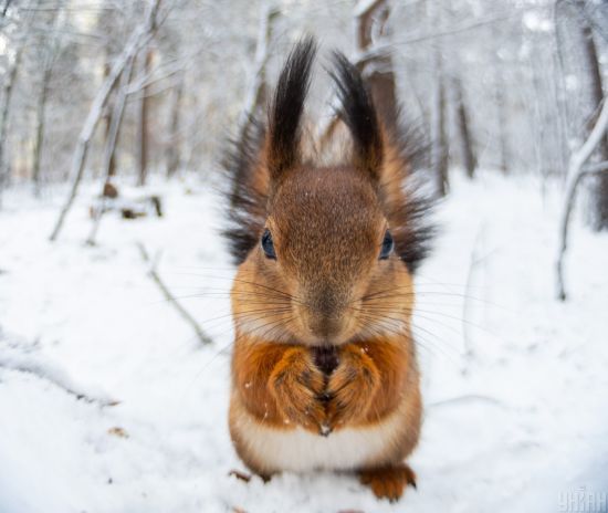  ������� �������� ����� ������ ��������� �������� �������� ������� 