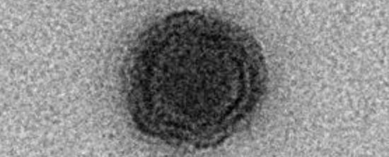 ����: ru.tsn.ua