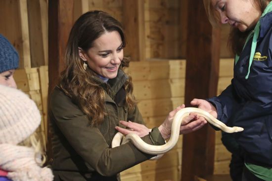  ���� ��������� �������� 