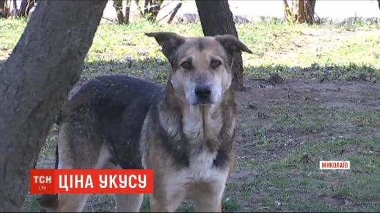  ��������� �������� ��� ��� ������ ����������� ��������� ������� 