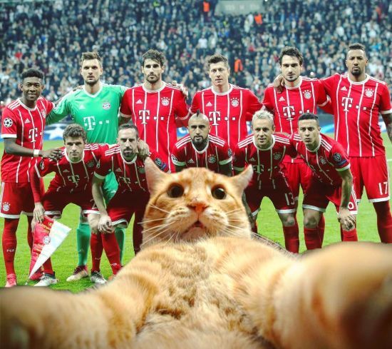  ��� ����� ���� ���������� ������� 