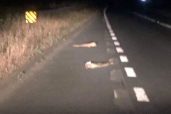  ������ ���������� ���������� ������ ������ �������� ������������ ������������� 