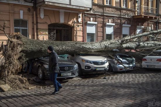  ����� ������� ������� ����� ����� ������ ������ ������ 