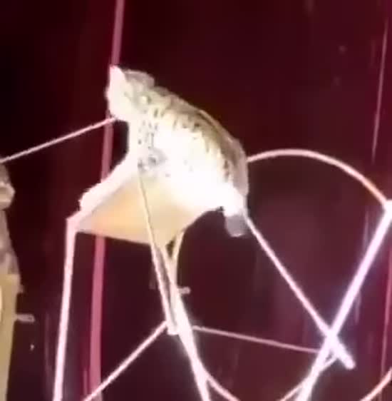  ����� ����� ������ ���� ������ ������������� ����� ��� 