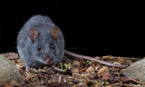  ���� ���� ������ 