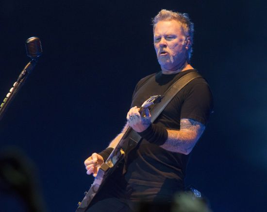  ��� ����� metallica metallicola ������������ ������� ������ macrostylis 