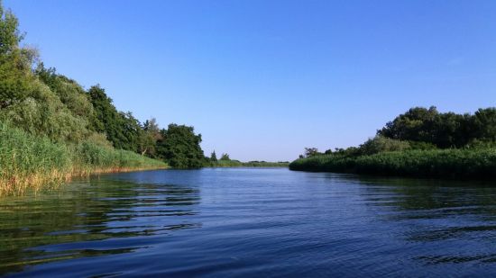  �������� ���������� ������� ���� ������� ���������� 