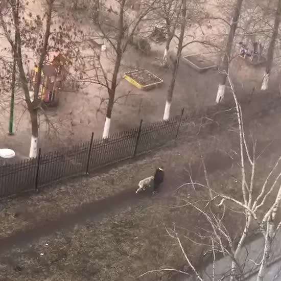 ����: ru.tsn.ua