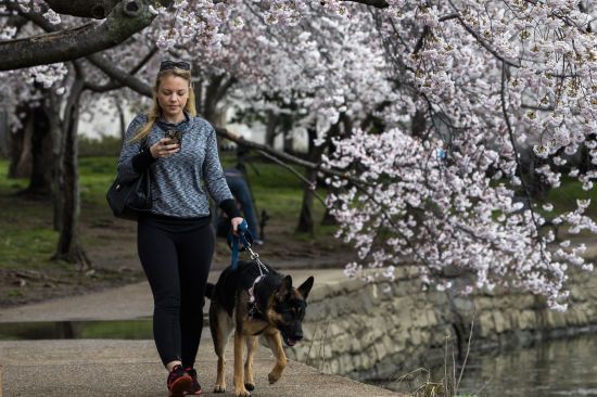  ����������� ��������� covid-19 ����� ������ ������� ������������ ������������� 