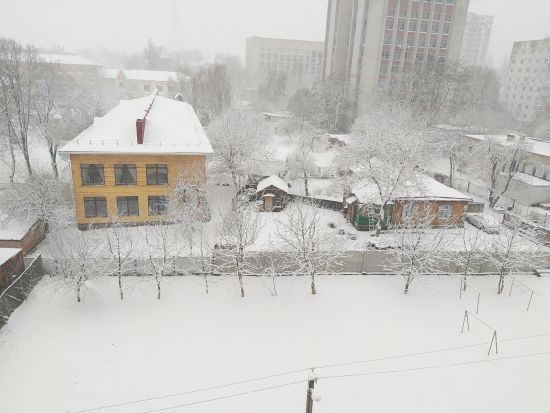  ���� �������� �������� �������� ������ 