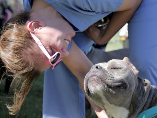  �������� mars ��������� �������� ������� ������ 