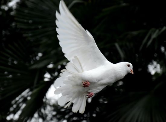  ���� ������� ������������ 2020 ����� ��������� ��������� 