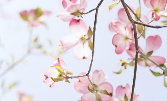 ����: ru.tsn.ua