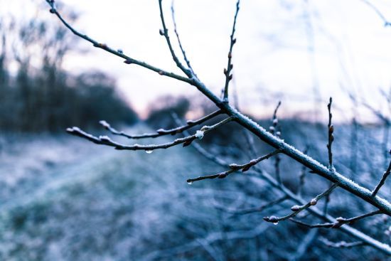 ����: ru.tsn.ua