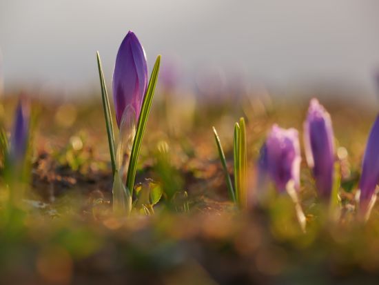  ������� ����������� ������� 