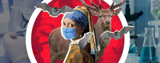  �������� ������� ����� ���������� ������ 