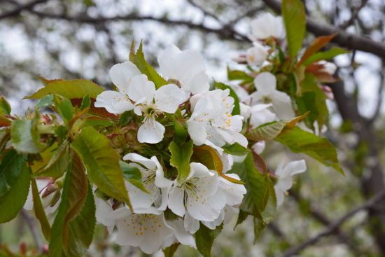  ������� ����� ��������������� ������� ����������� ���� ��������� 