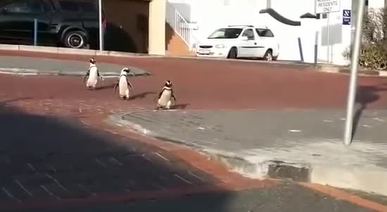 ����: ru.tsn.ua