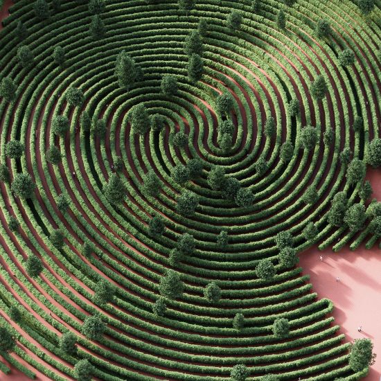  ���� �������� ��������� ������ ��������� ������� 