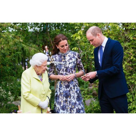  �������� ��������� ���� ������ 