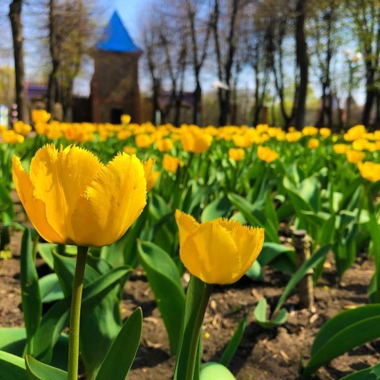  ��������� ������� ������� ������� ����� ���������� �������� �������� 