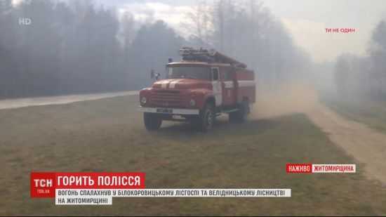 ����: ru.tsn.ua