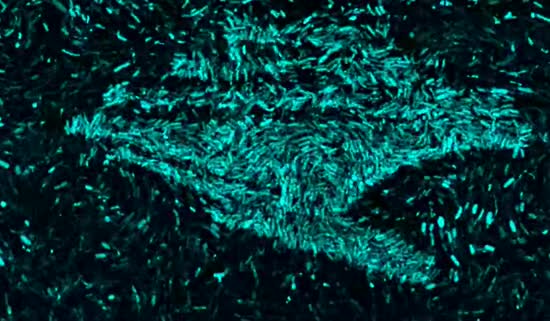 ����: ru.tsn.ua