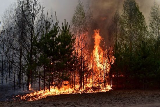  ������ ������ ����������� ����� ���������� ������� ���������� ���� 