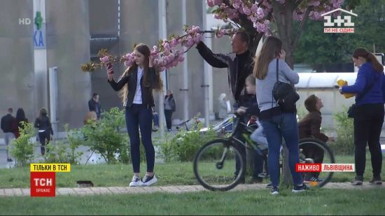  �������� �������� ������� 