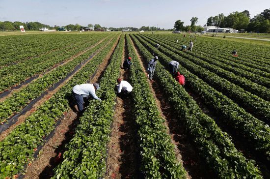  ������� ����� �������� ���������� ������ ��������� �������� ������ 