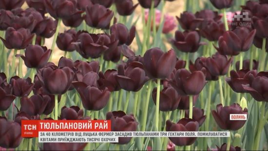  ���� ���� ����������� 