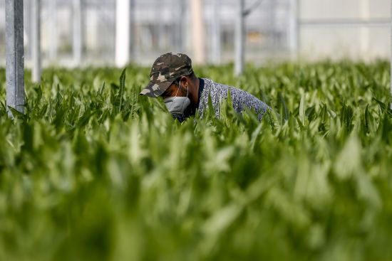 ����: ru.tsn.ua