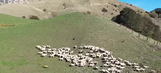  ���� ���� ������ ������ 