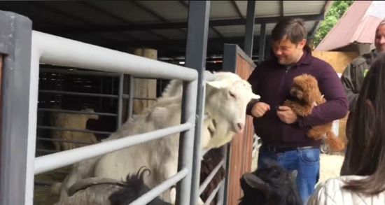 ����: ru.tsn.ua