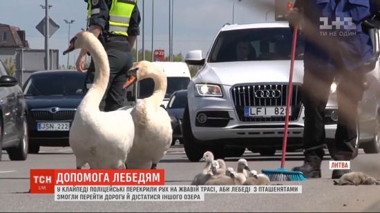  �������� ��������� ����������� 