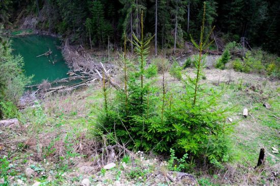  ����� ���� ������� 