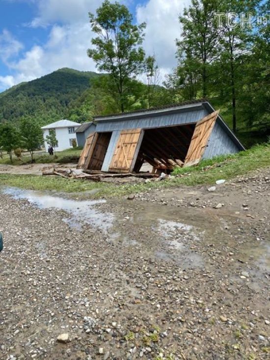  ������ ���� ������� ����������� ���� �����-����������� 