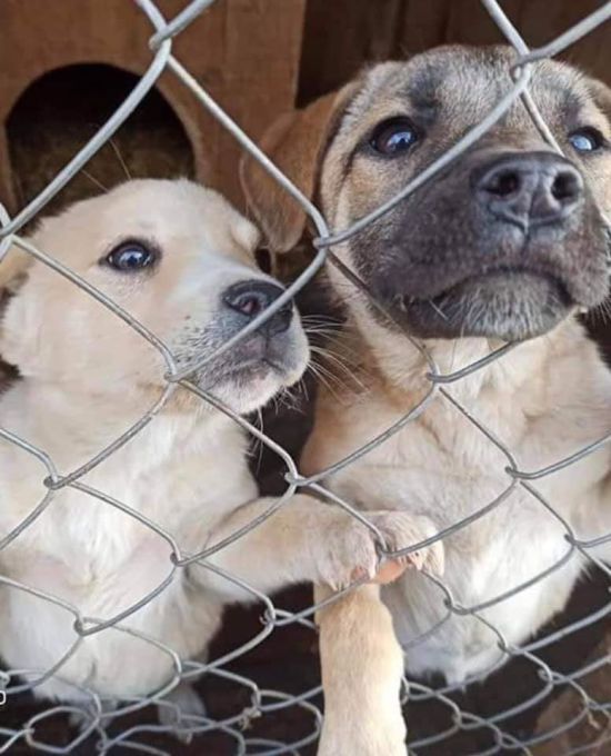  ����� �������� ������� �����-����������� 