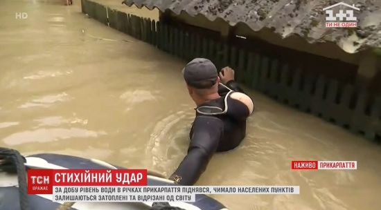  ���� ���� ���� ��� ����������� ������ ������� ���� 