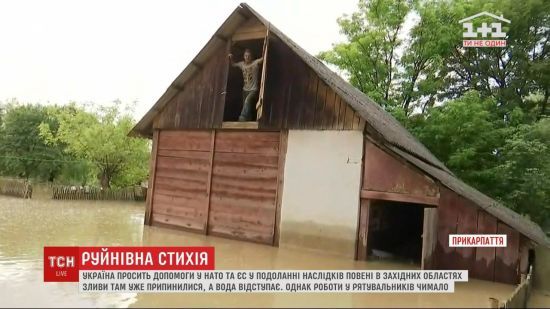  ���� ������� ����� 