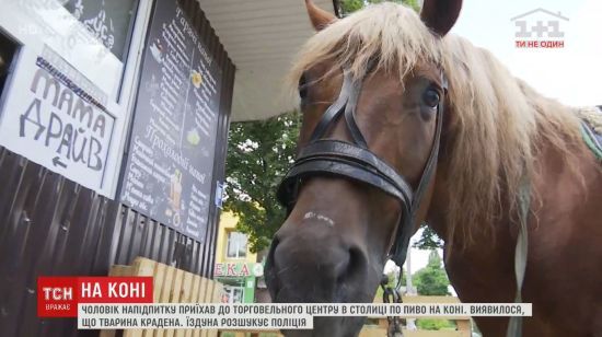  ������ ���� ��� ������� 